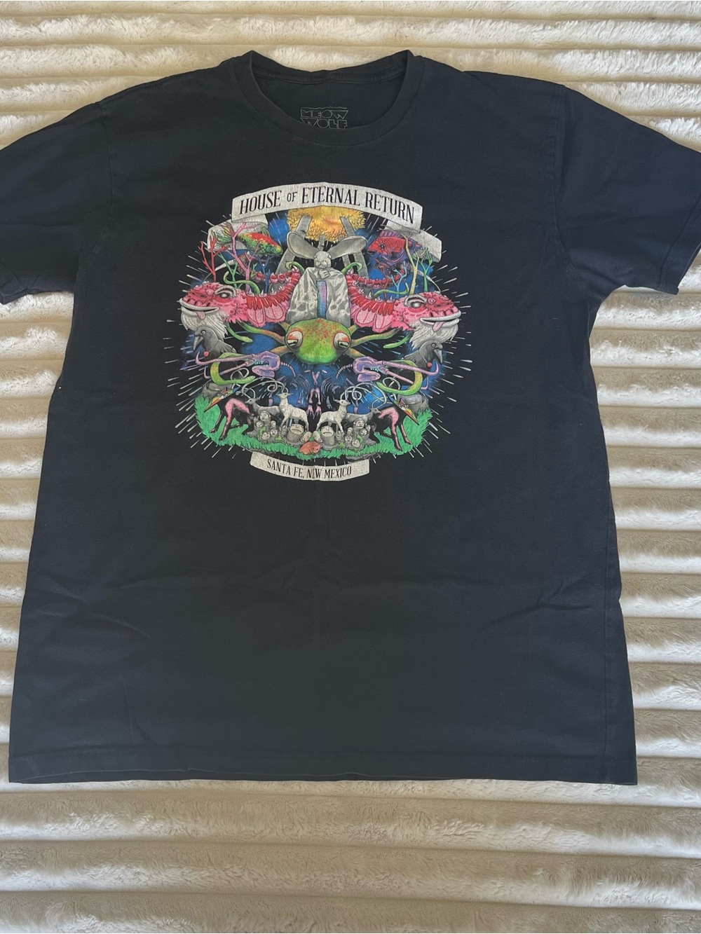 Meow Wolf Santa Fe House of Eternal Return Black T-Shirt